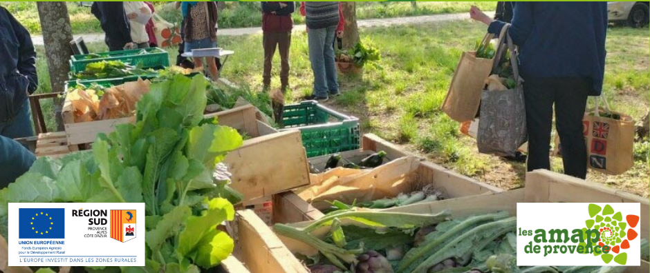 Élections professionnelles agricoles : votons !